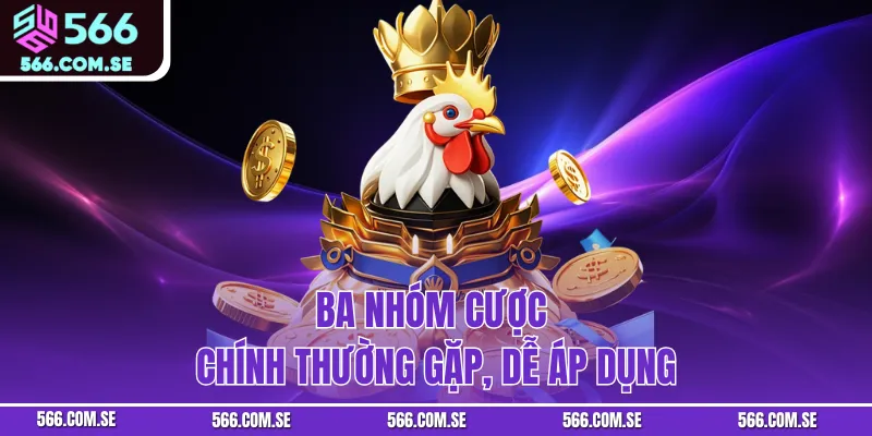 Ba nhóm cược chính thường gặp, dễ áp dụng