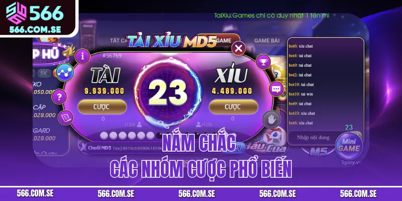 Nắm chắc các nhóm cược phổ biến