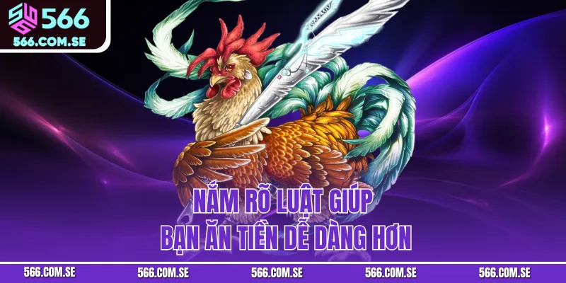 Nắm rõ luật giúp bạn ăn tiền dễ dàng hơn